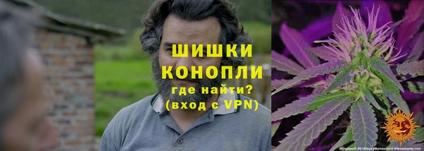 прущие крисы Баксан