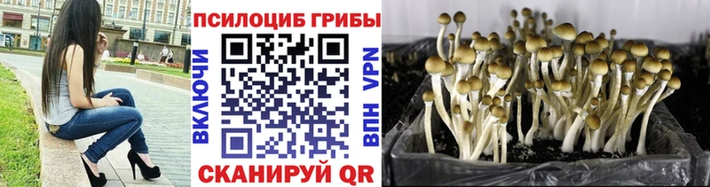 Псилоцибиновые грибы GOLDEN TEACHER как найти закладки Озёры